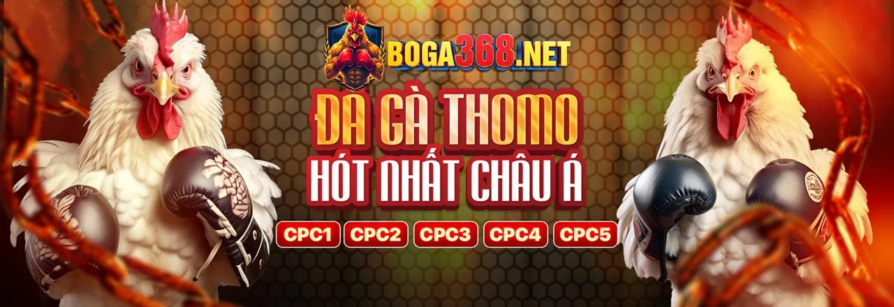 Đá gà trực tuyến m888 khuyến mãi với không khí sôi động
